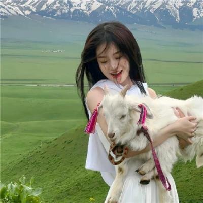 感动裁判的玉儿